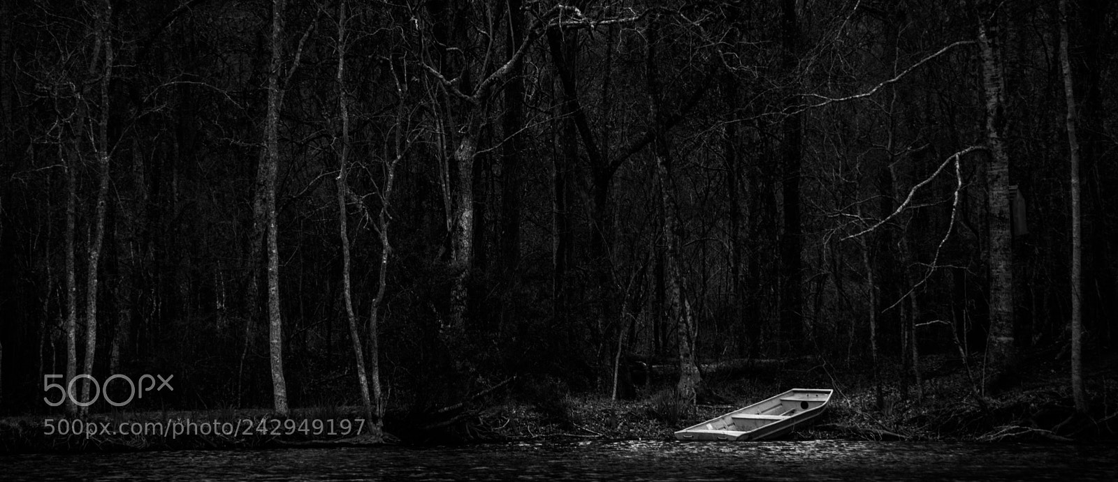 Nikon D7100 sample photo. Breaux bridge photography