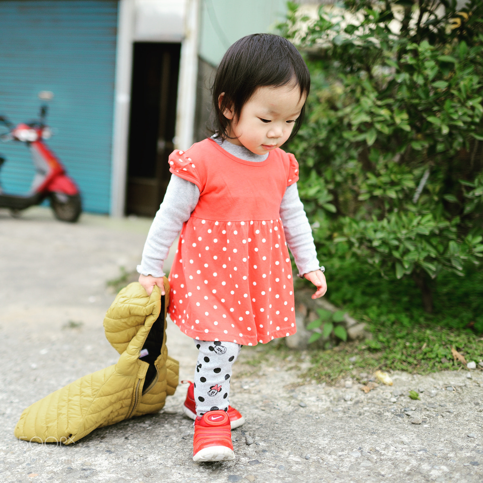 Nikon D800 sample photo. Untitled photography