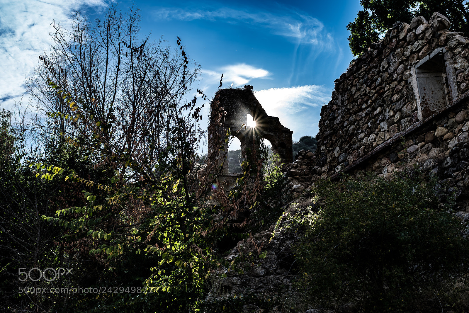 Nikon D610 sample photo. (camposolillo) photography