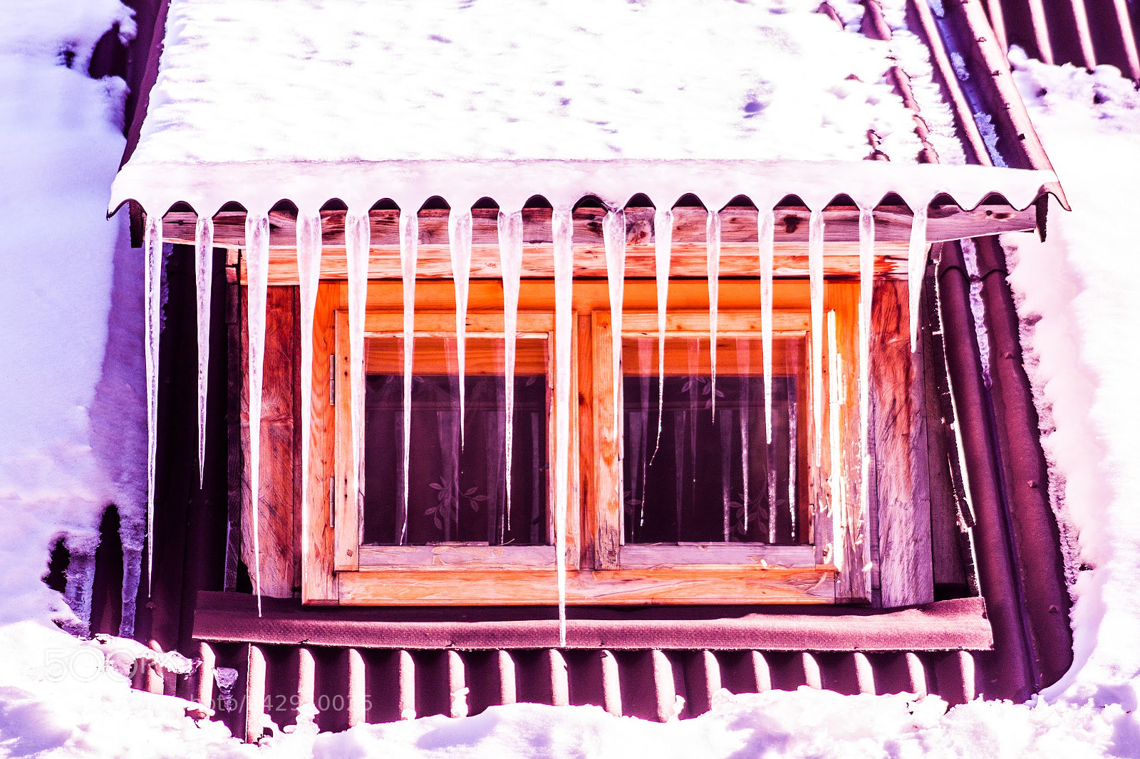 Canon EOS 450D (EOS Rebel XSi / EOS Kiss X2) sample photo. Morning icicles photography