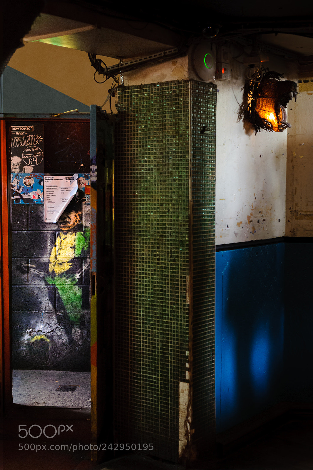 Nikon D700 sample photo. Come in, buy me photography