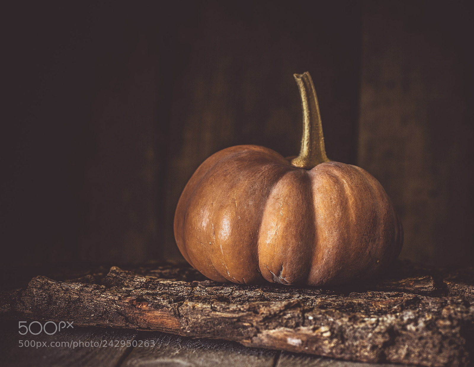Canon EOS 60D sample photo. Pumpkin photography