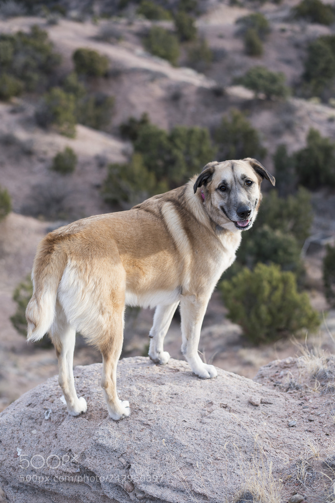 Nikon D810 sample photo. Hike'n photography