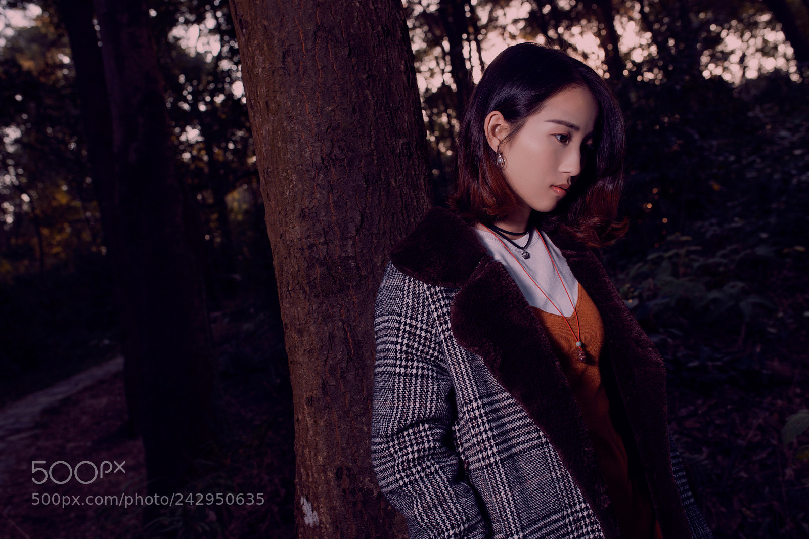 Canon EOS-1Ds Mark III sample photo. Untitled photography