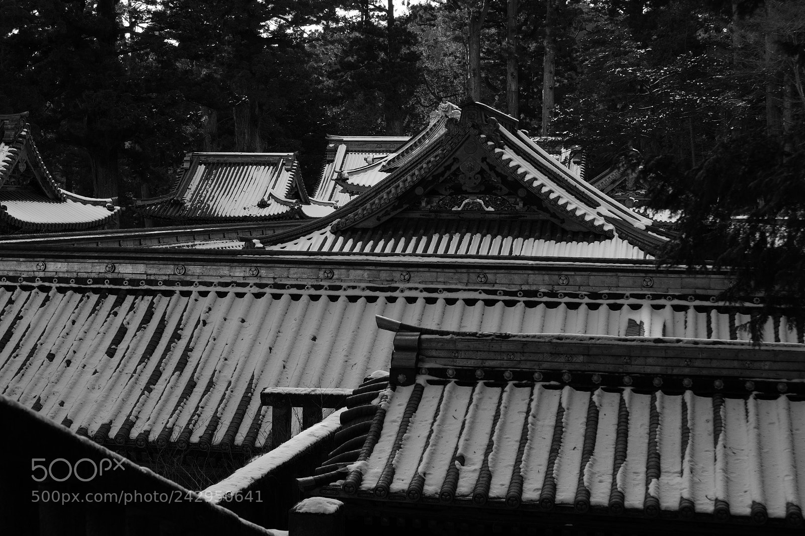 Panasonic Lumix DC-GH5 sample photo. Nikko in winter #02 photography