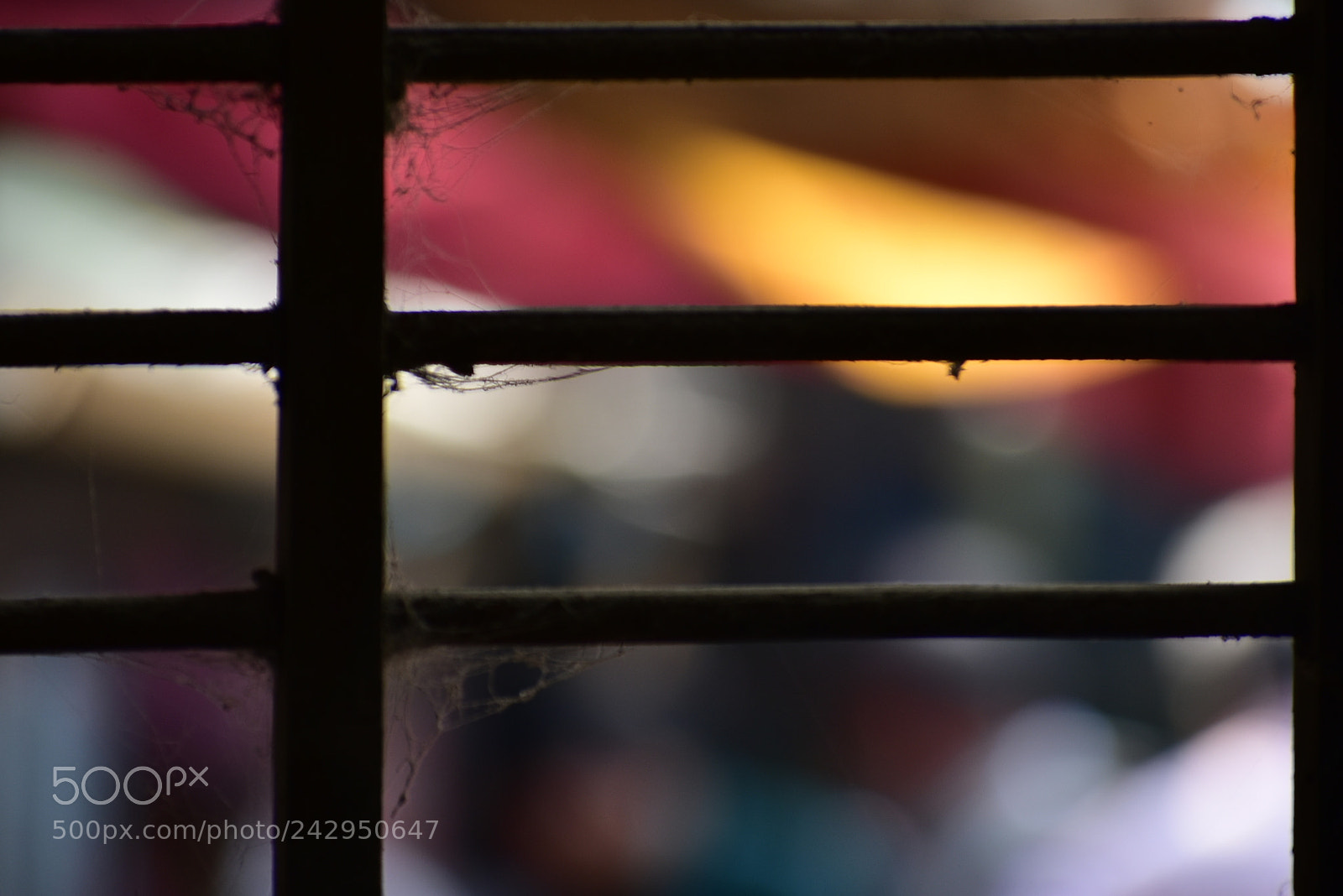 Nikon D3400 sample photo. Window photography