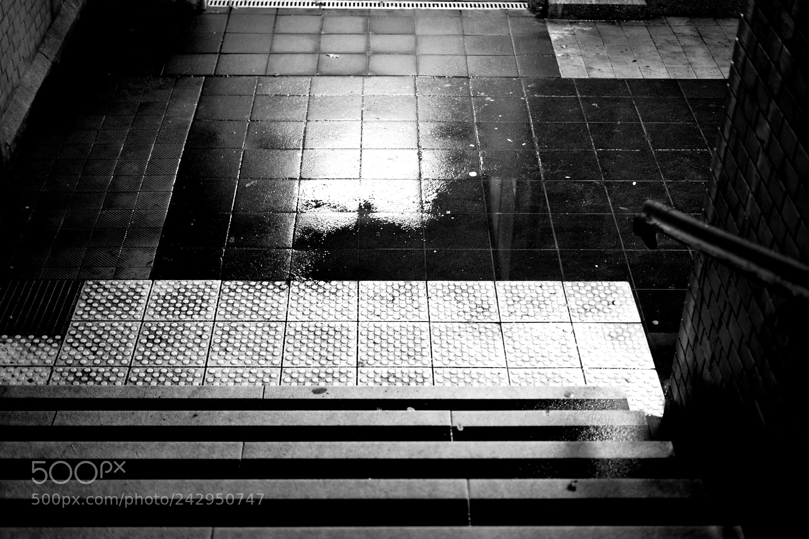 Sony a7 II sample photo. Rain puddles at the photography