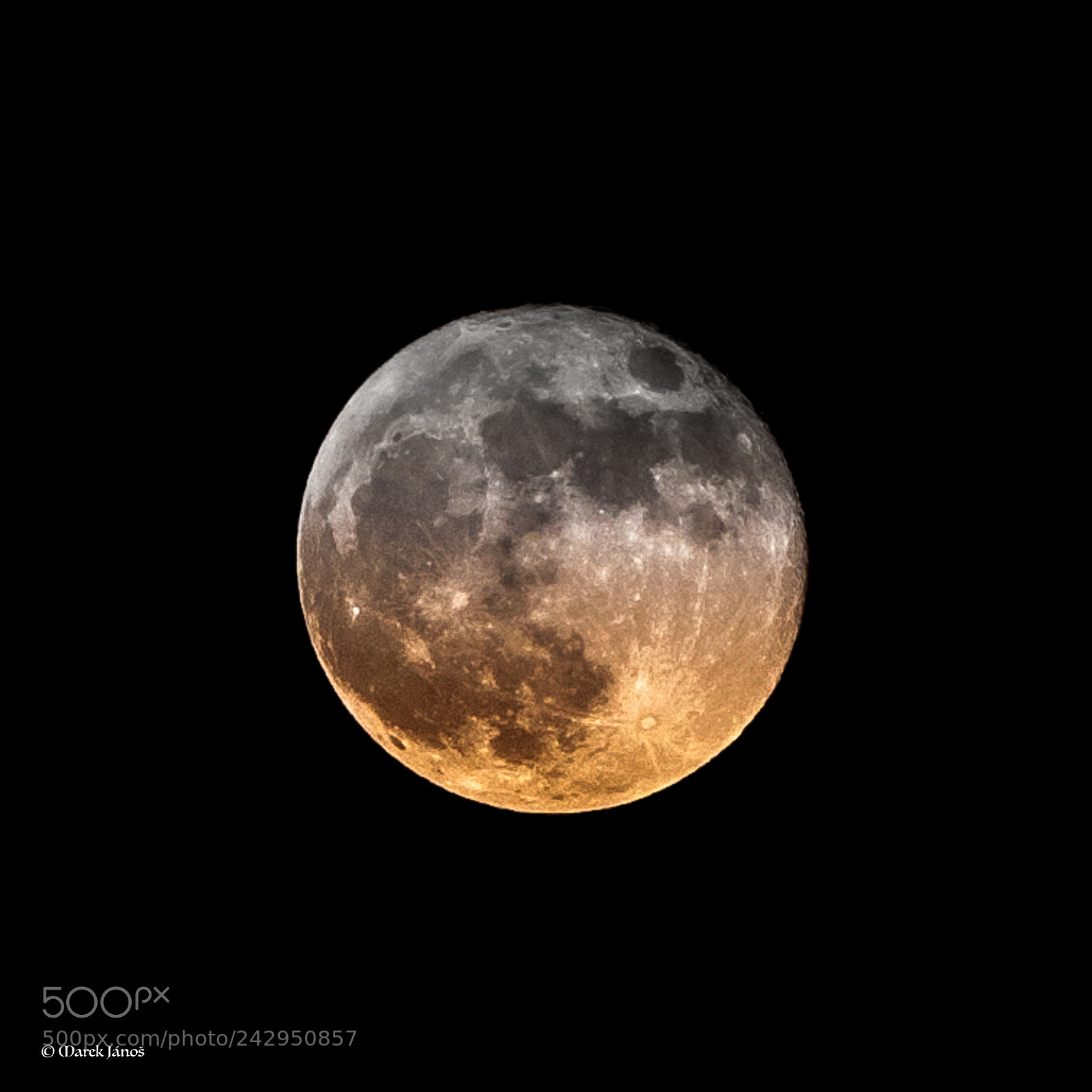 Nikon D90 sample photo. Mr.moon photography