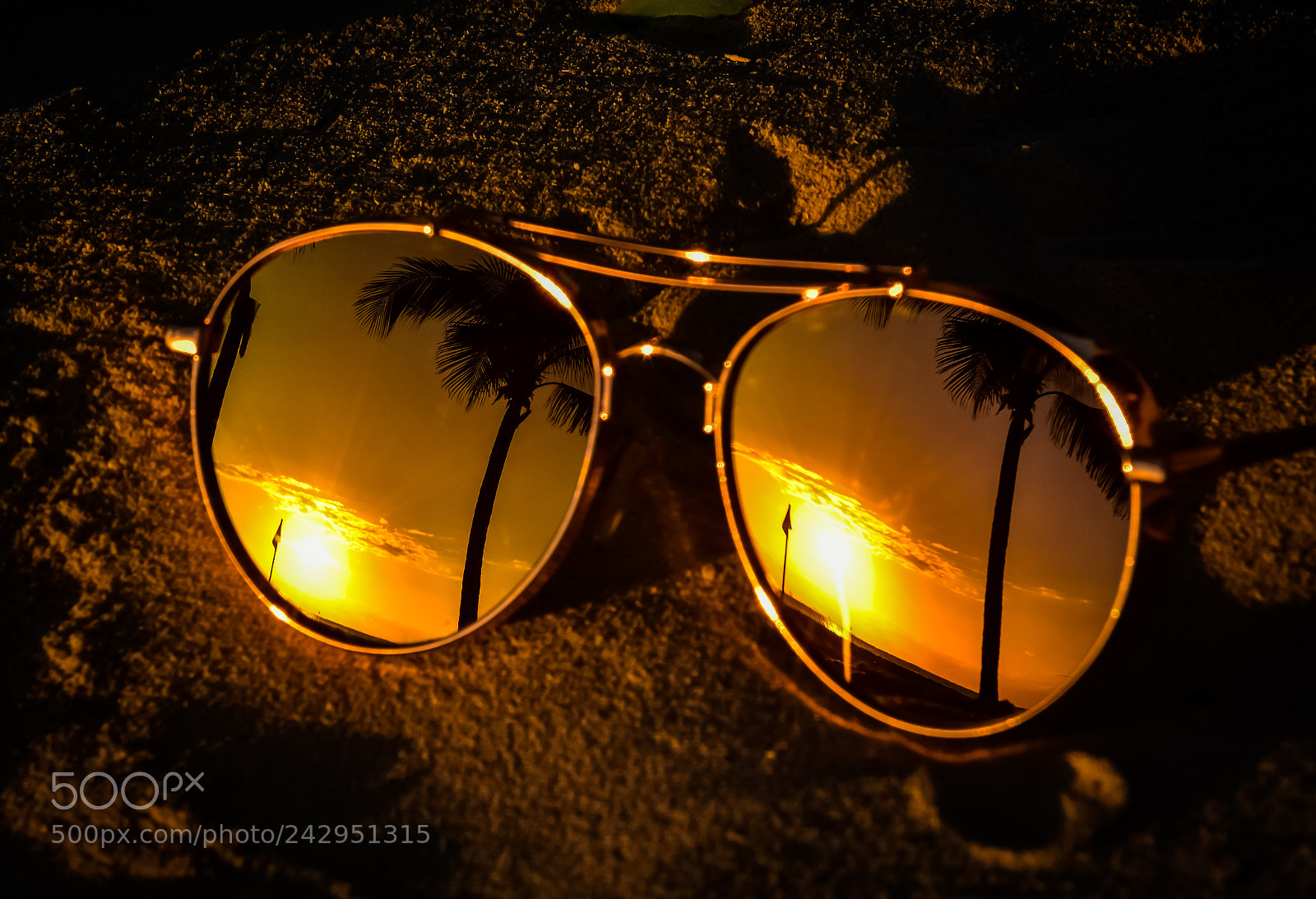 Nikon D7200 sample photo. Reflection photography