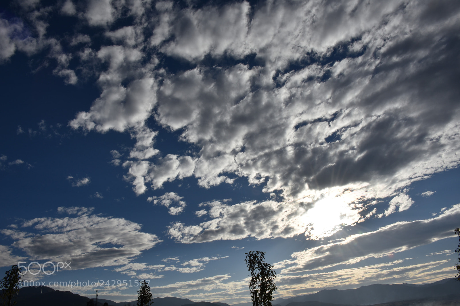 Nikon D7200 sample photo. Untitled photography