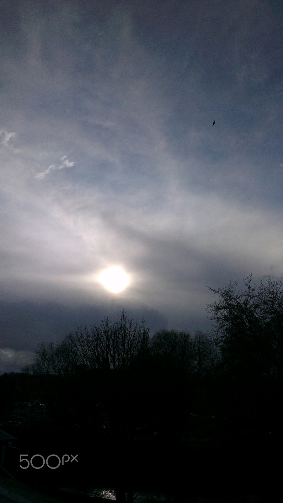 HTC ONE X sample photo. ���� photography