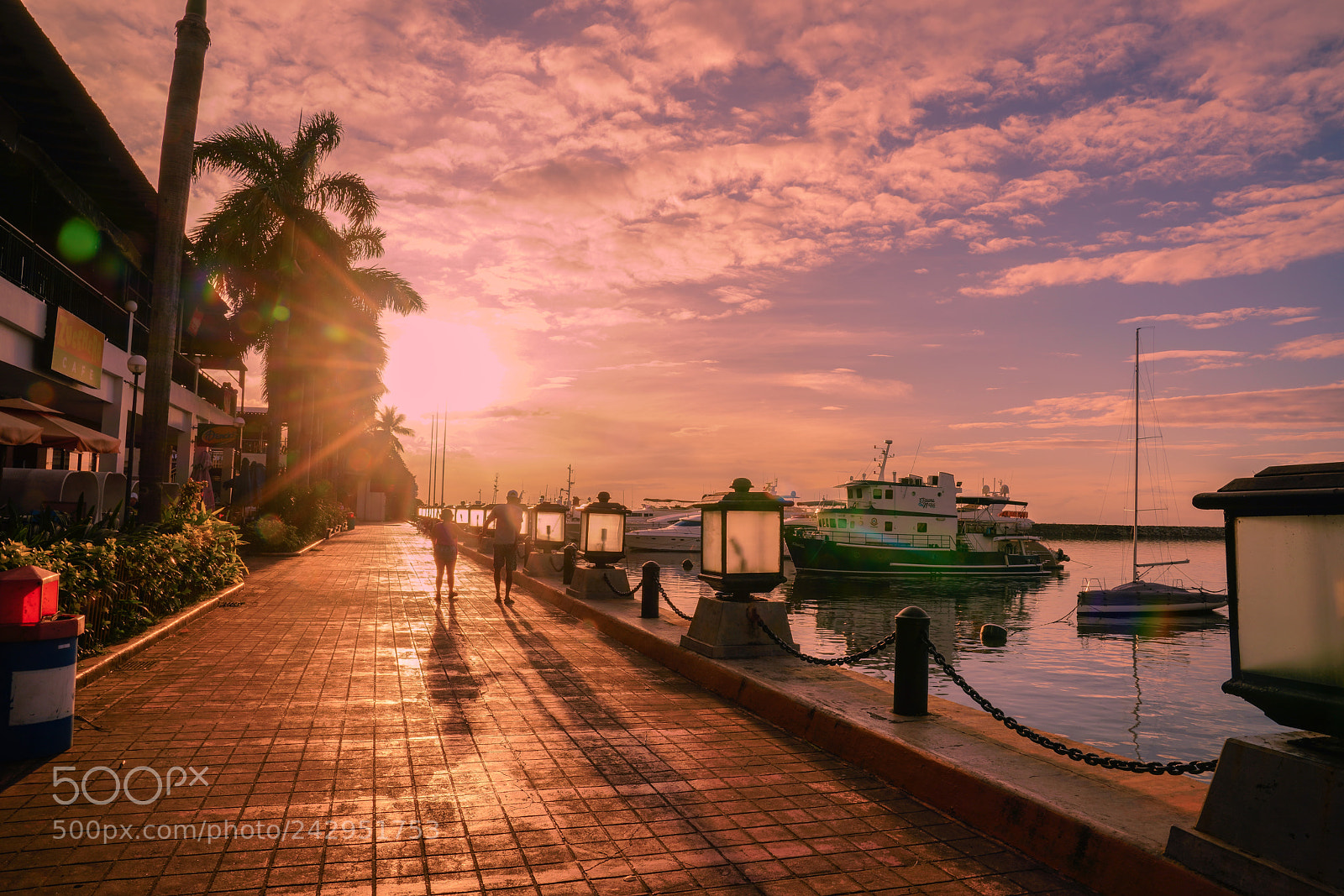 Sony a7R III sample photo. With sun photography