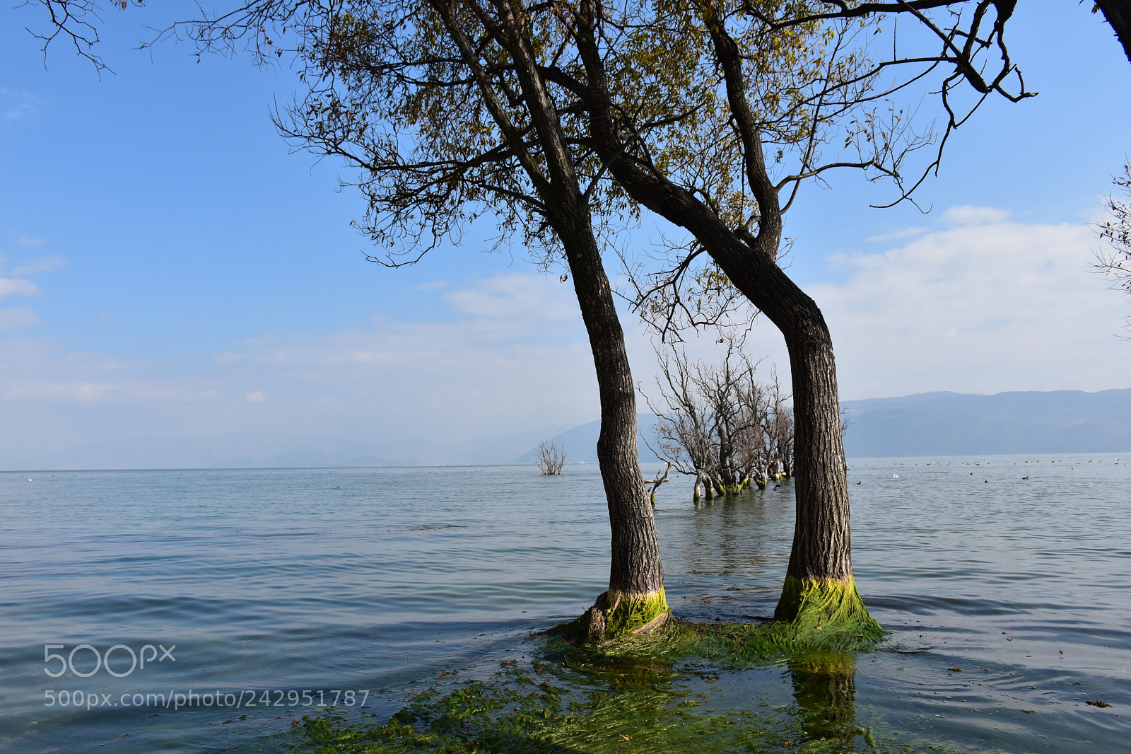 Nikon D7200 sample photo. Untitled photography