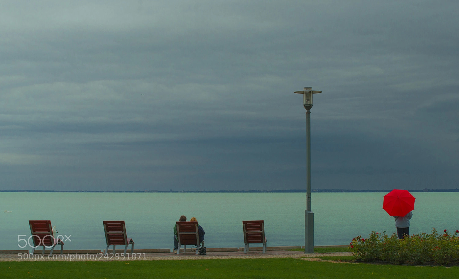 Sony Alpha DSLR-A900 sample photo. Red point photography