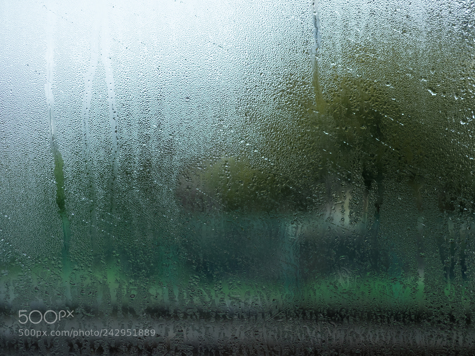 Olympus OM-D E-M1 sample photo. Rain widows photography