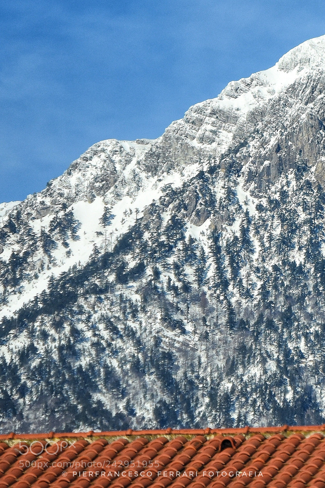 Nikon D7200 sample photo. Parco del pollino photography