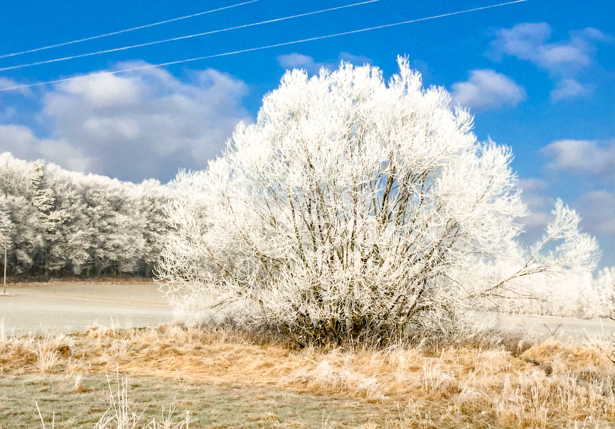 Apple iPad mini 4 sample photo. Winter wonderland photography