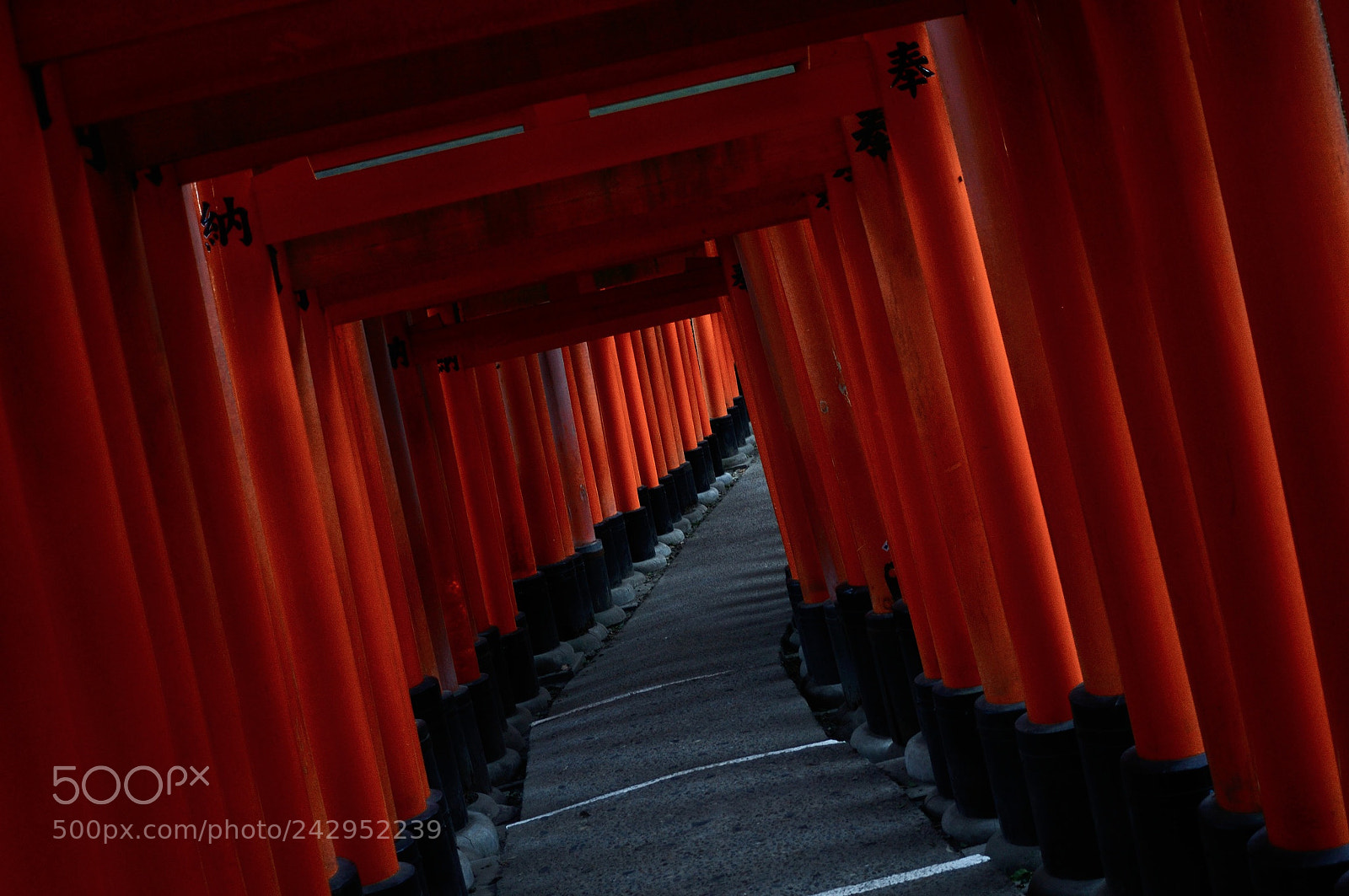 Nikon D90 sample photo. Infinite torii gates photography