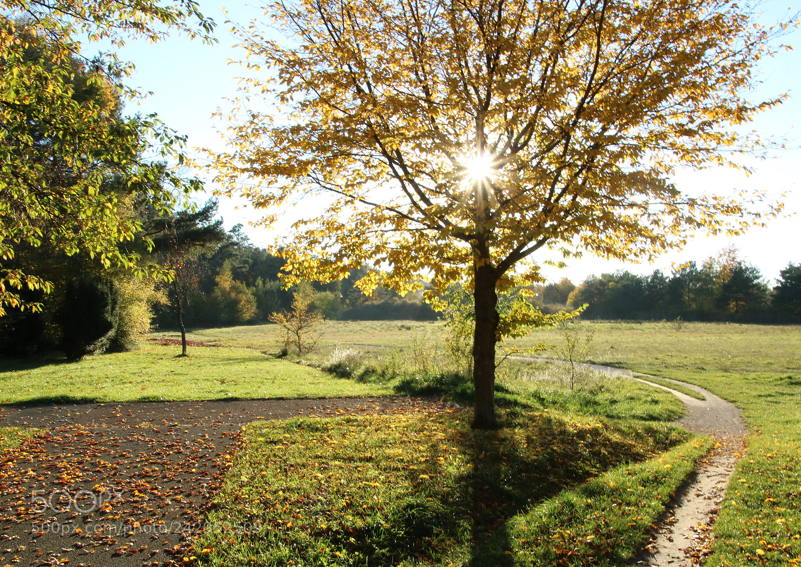 Canon EOS 760D (EOS Rebel T6s / EOS 8000D) sample photo. Herbsttag photography