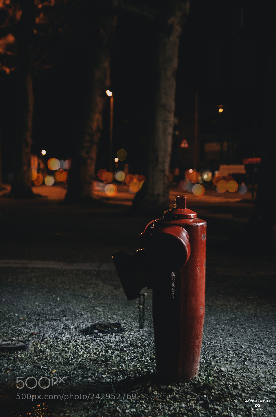 Nikon D5100 sample photo. Untitled photography