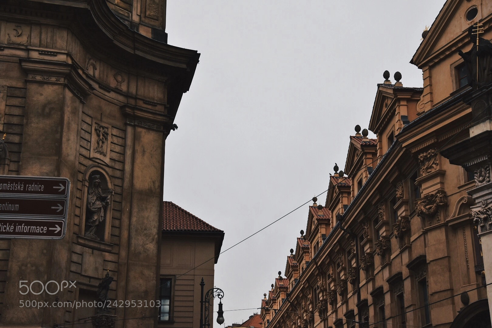 Nikon D7200 sample photo. Untitled photography