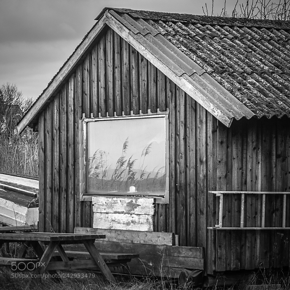 Canon EOS-1D Mark IV sample photo. The impact of surroundings photography