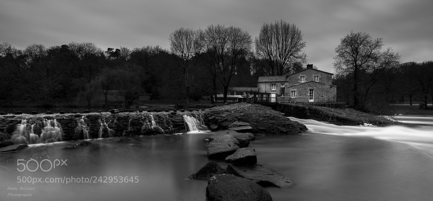 Nikon D810 sample photo. Vallée de poupet photography