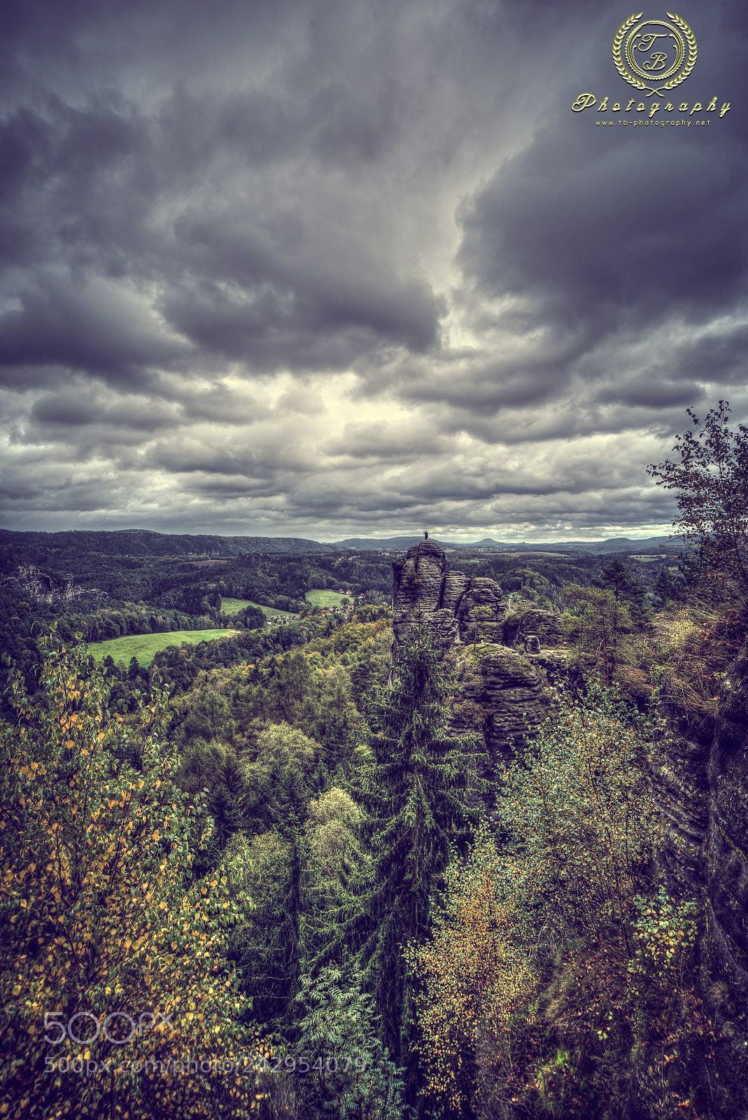 Nikon D800 sample photo. Die felsen der bastei photography