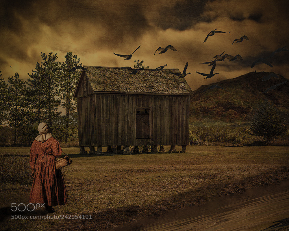 Nikon D810 sample photo. Farm scene photography