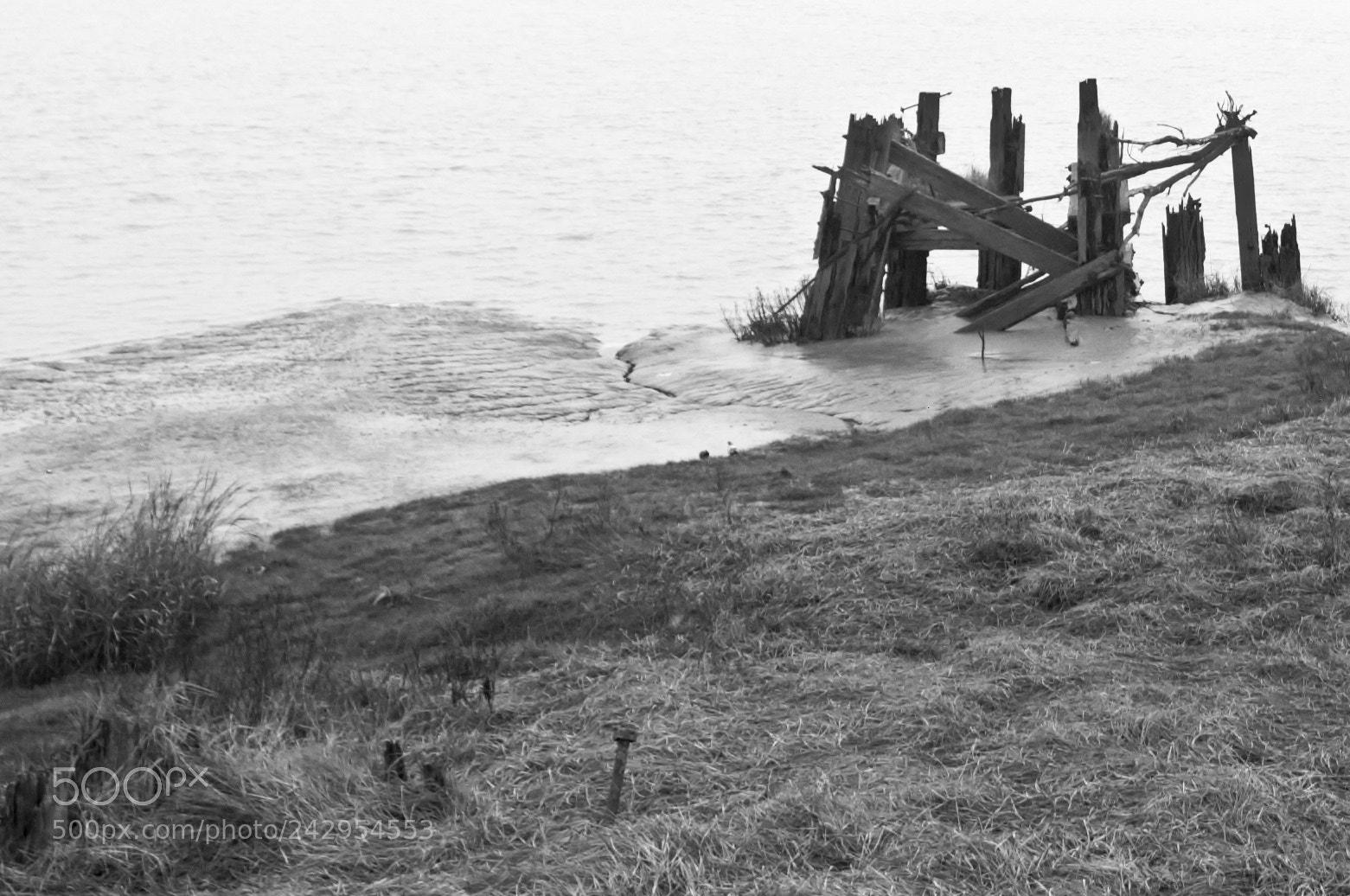 Nikon D2X sample photo. Remains photography