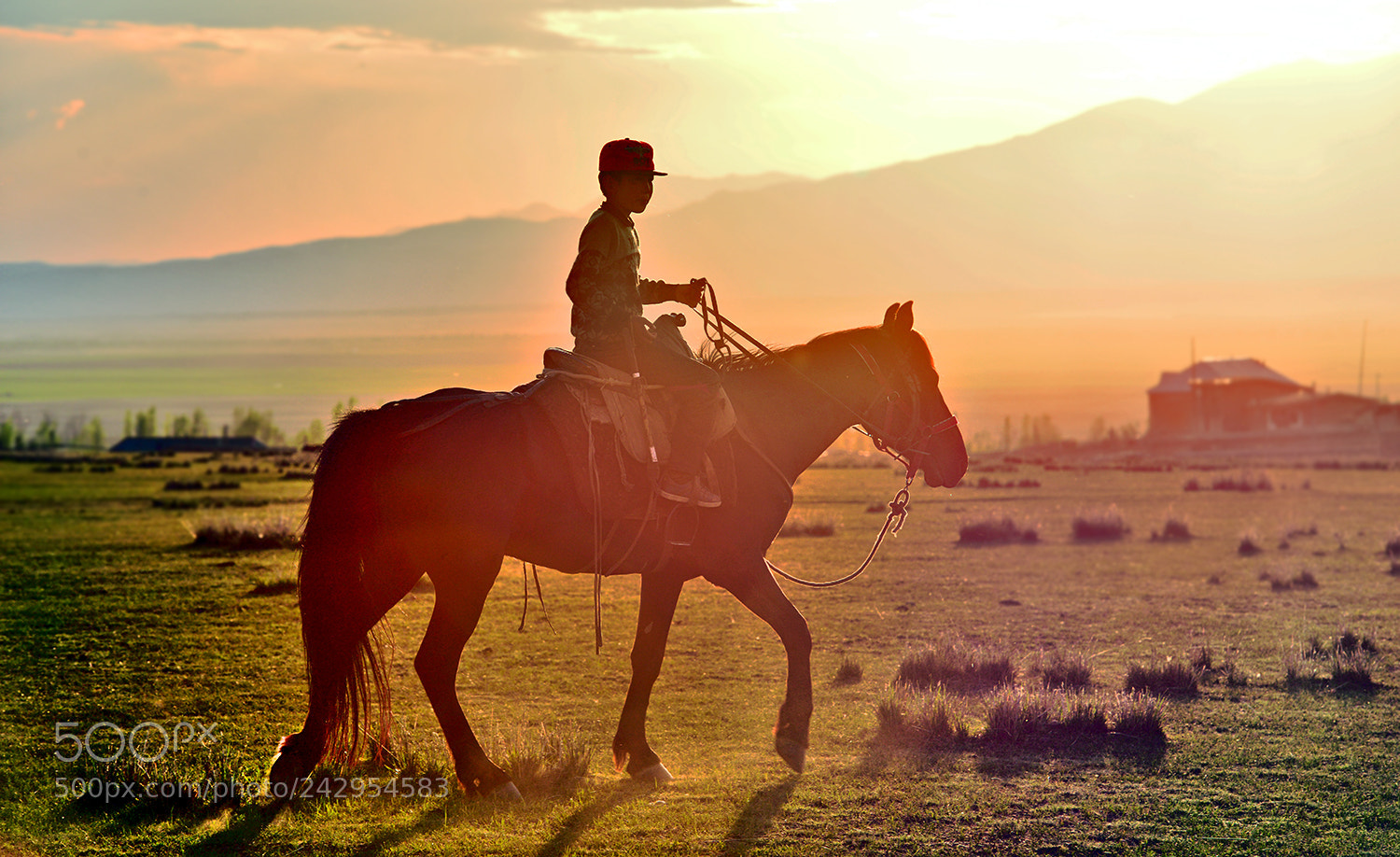 Nikon D800E sample photo. 草原小骑士 photography