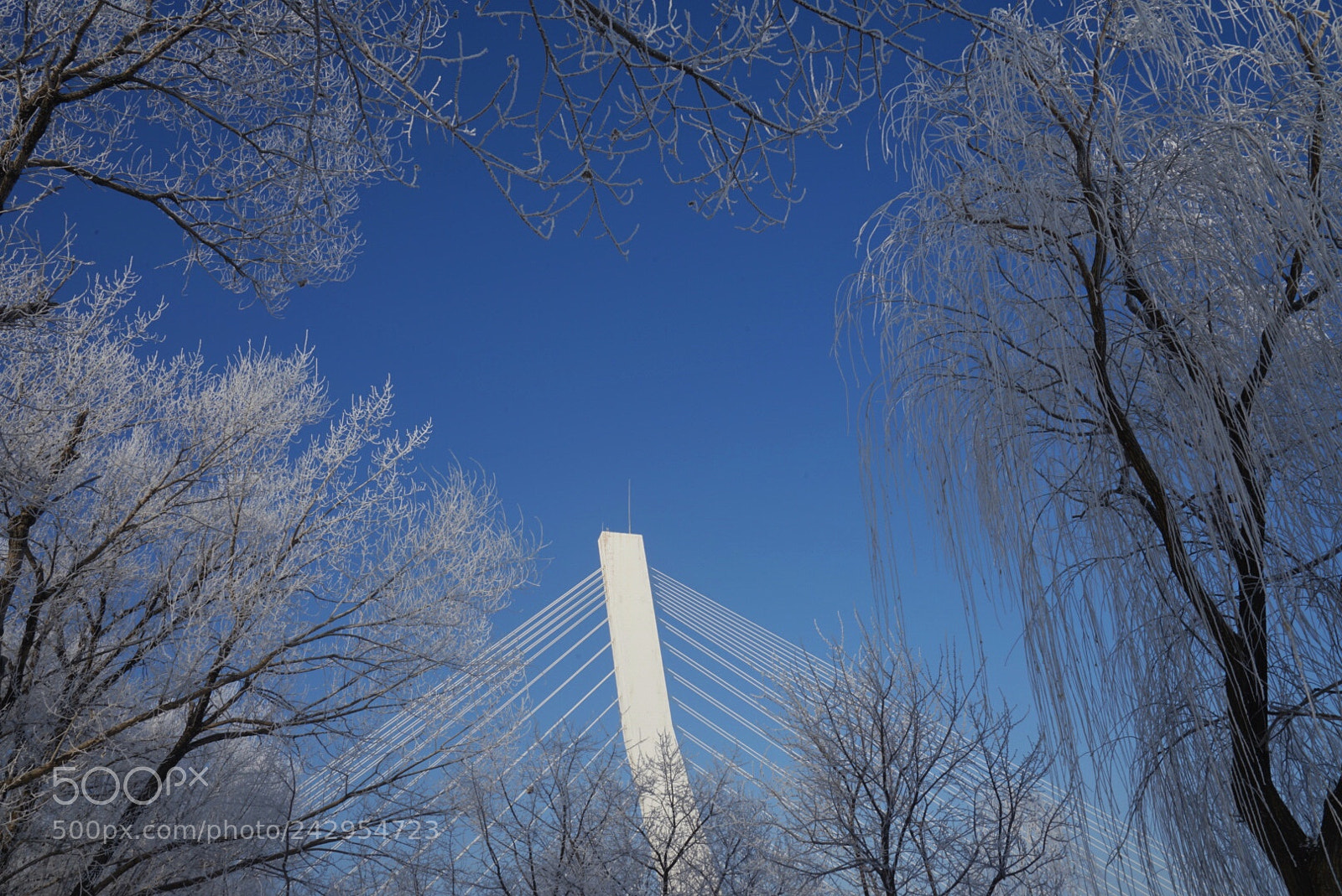 Sony a7 II sample photo. Untitled photography