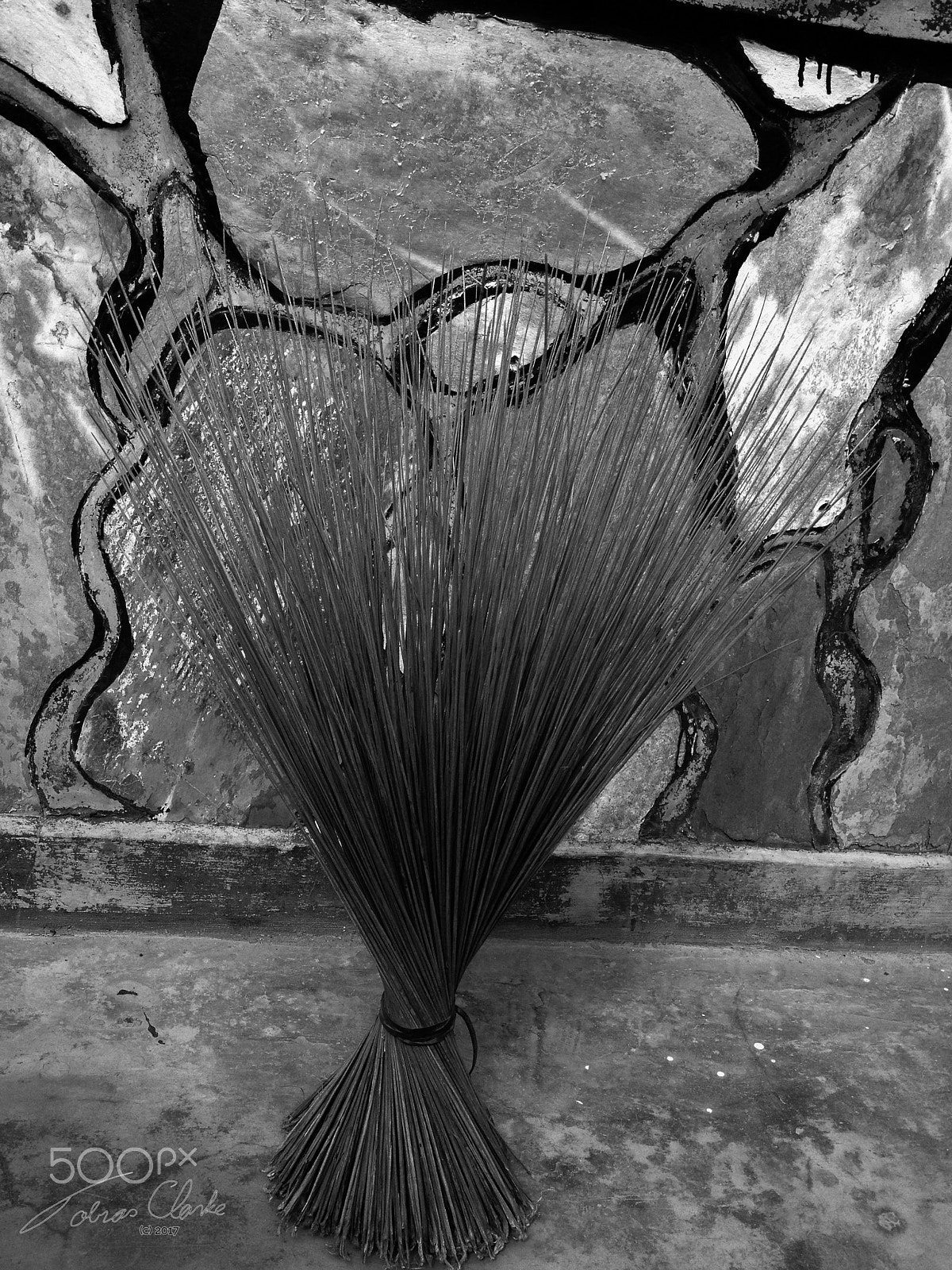 Jag.gr 645 PRO for iPhone sample photo. Abstract broom photography