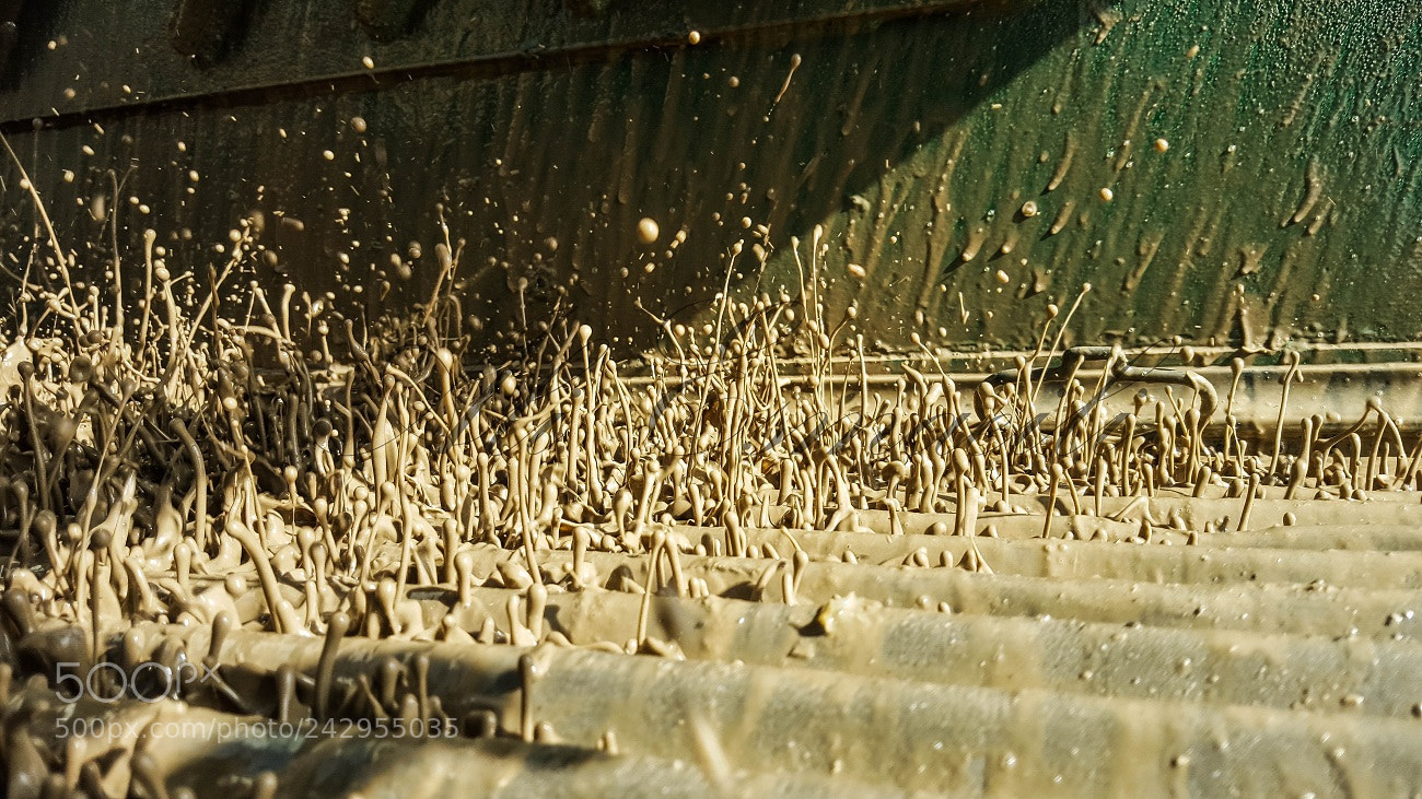 Samsung Galaxy S6 sample photo. Mud rock roll drillers photography