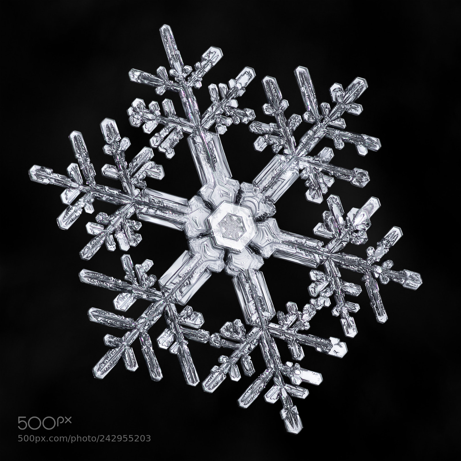 Canon EOS-1D X Mark II sample photo. Snowflake-a-day no. 37 photography