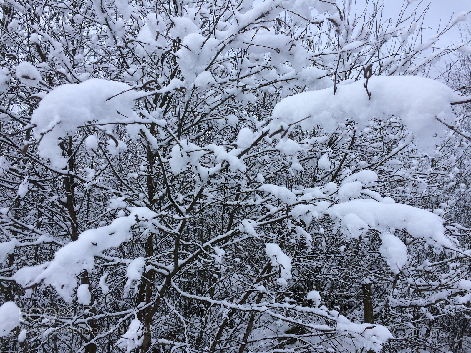 Apple iPhone 5s sample photo. Snowpillows photography