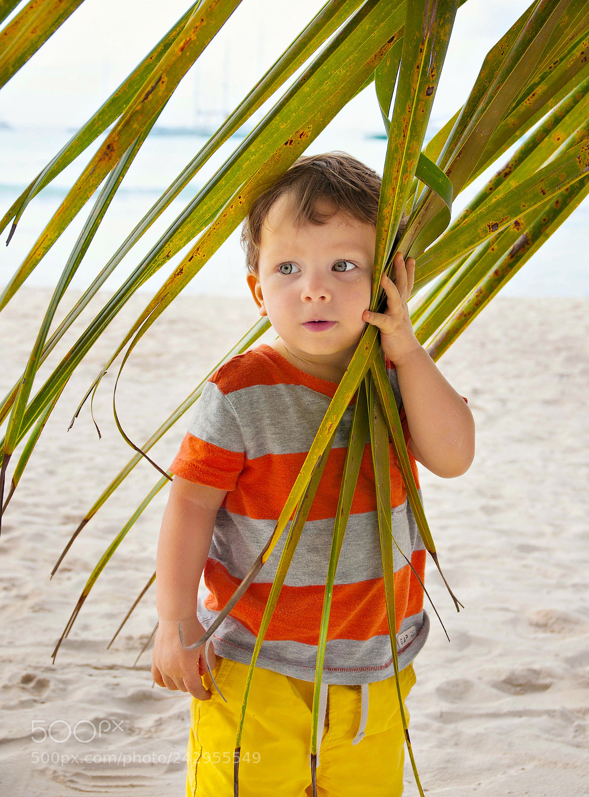 Nikon D90 sample photo. Cute little boy at photography