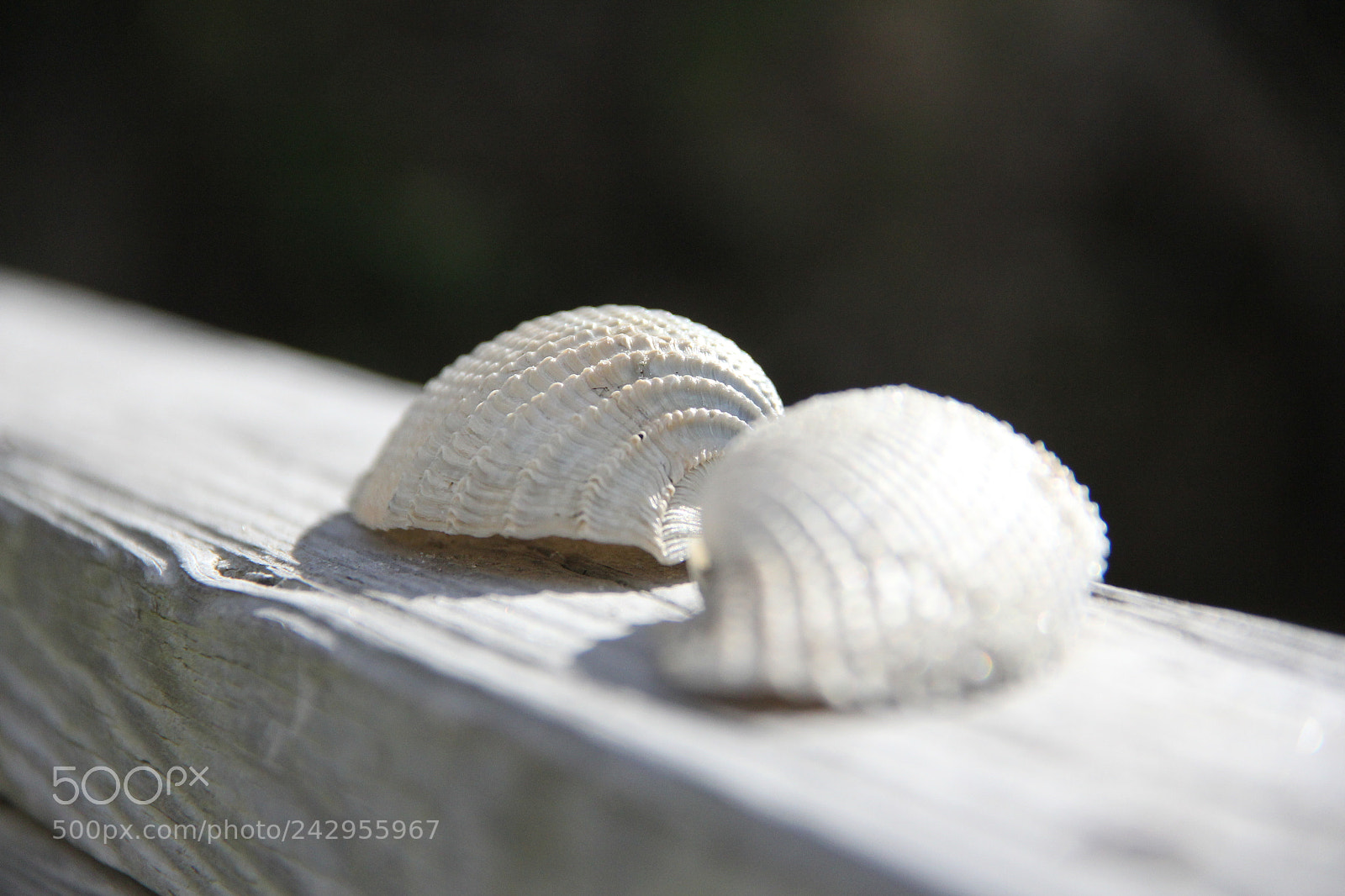 Canon EF-S 18-135mm F3.5-5.6 IS sample photo. Img photography