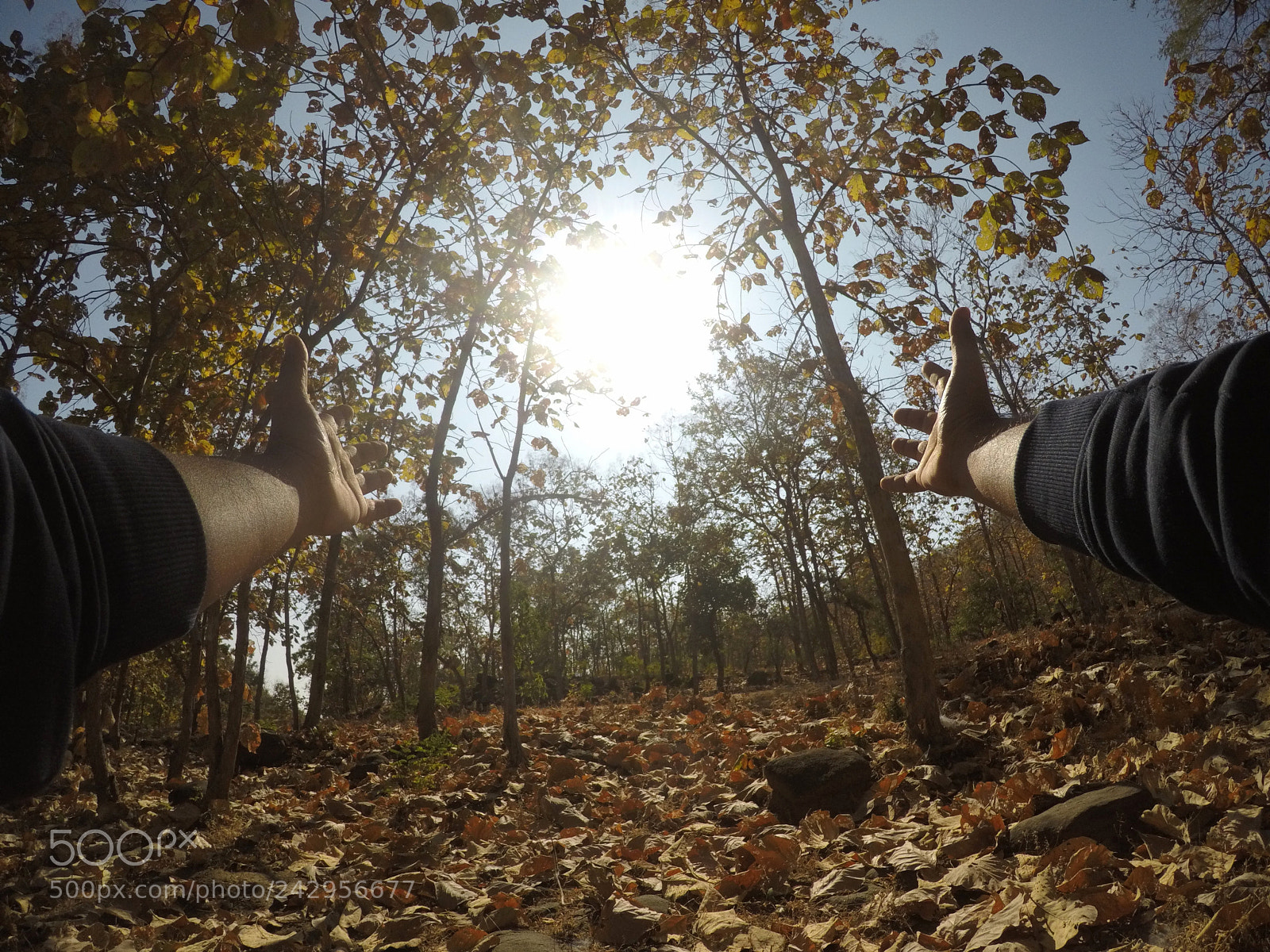 GoPro Hero5 Black sample photo. Winter sun photography