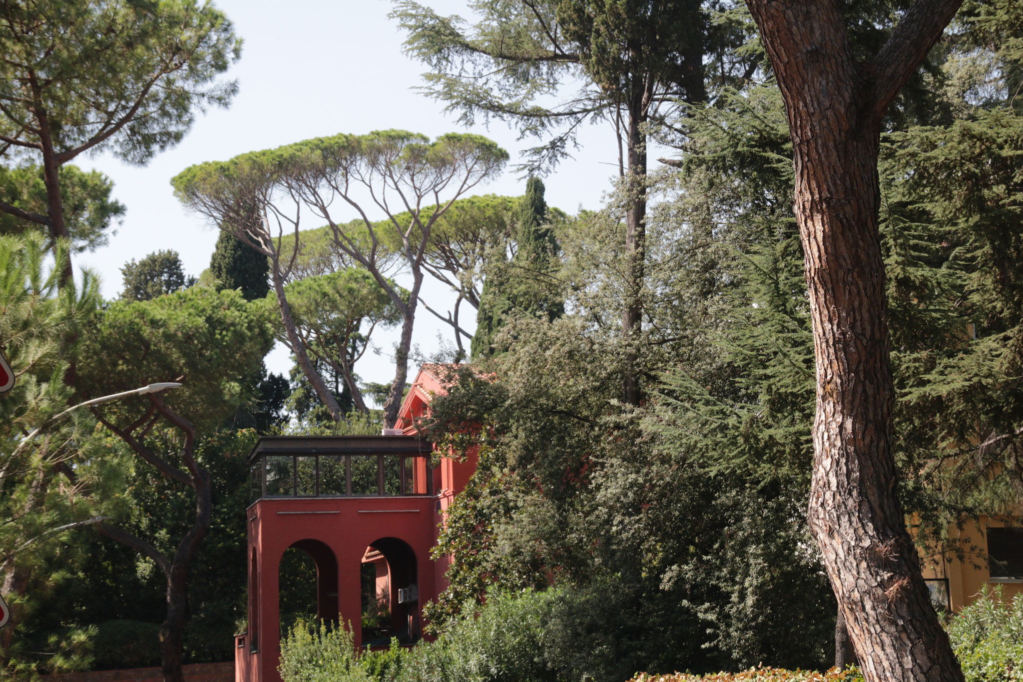 Canon EOS 760D (EOS Rebel T6s / EOS 8000D) + Sigma 18-200mm f/3.5-6.3 DC OS sample photo. First view of the pines of rome photography