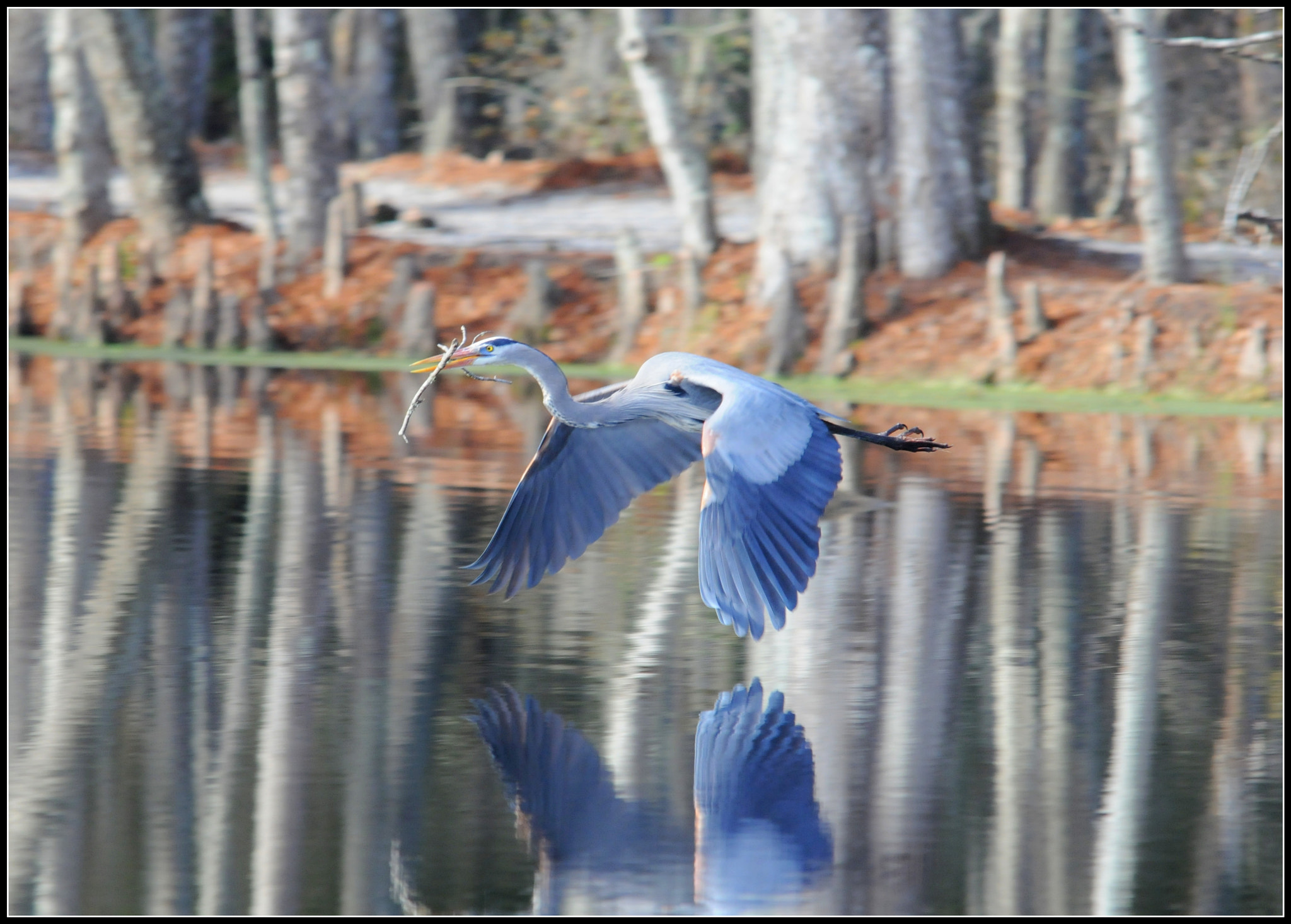 Nikon D300 + Sigma 150-500mm F5-6.3 DG OS HSM sample photo. In flight photography