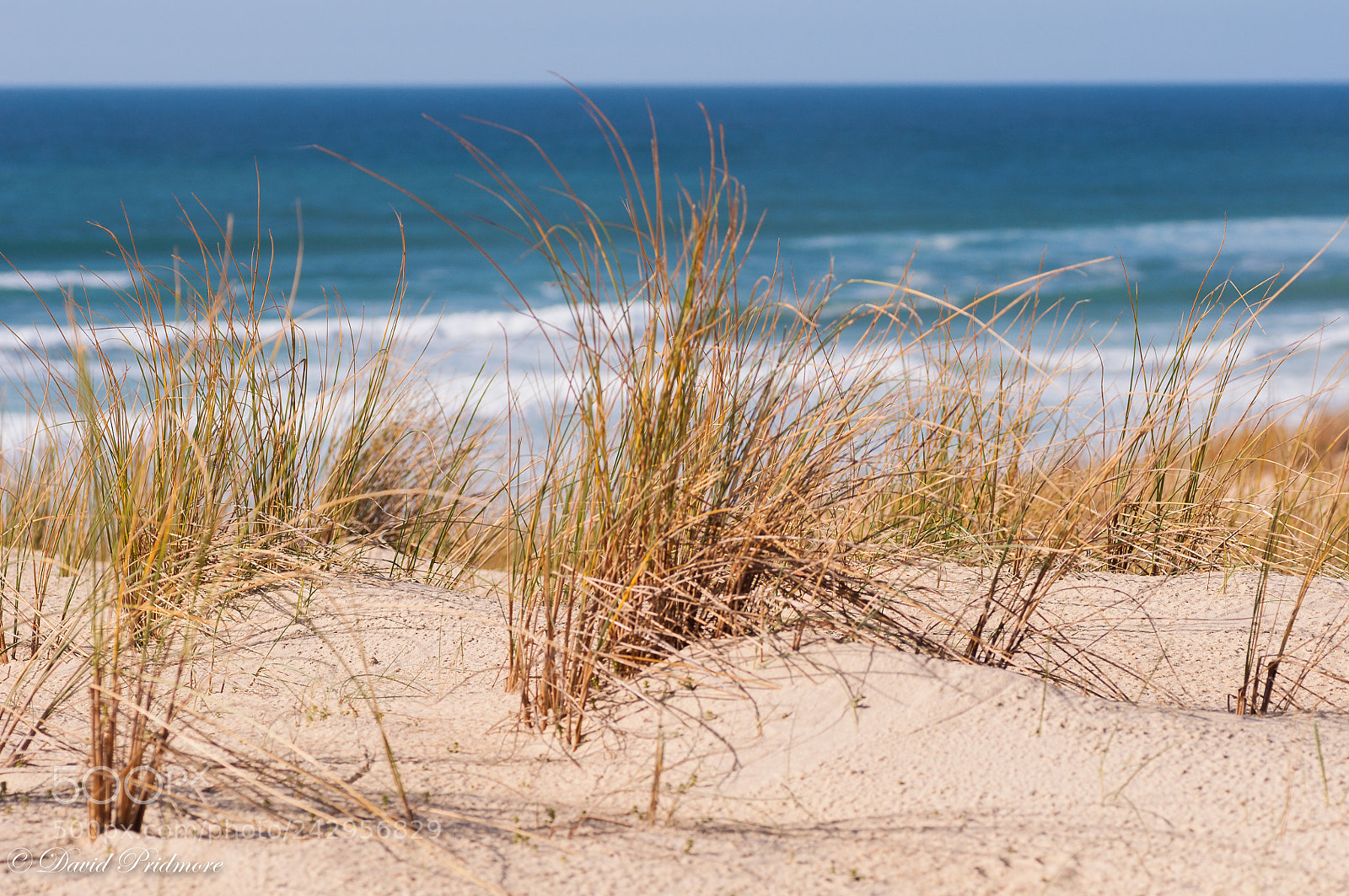 Nikon D90 sample photo. Dune and ocean photography