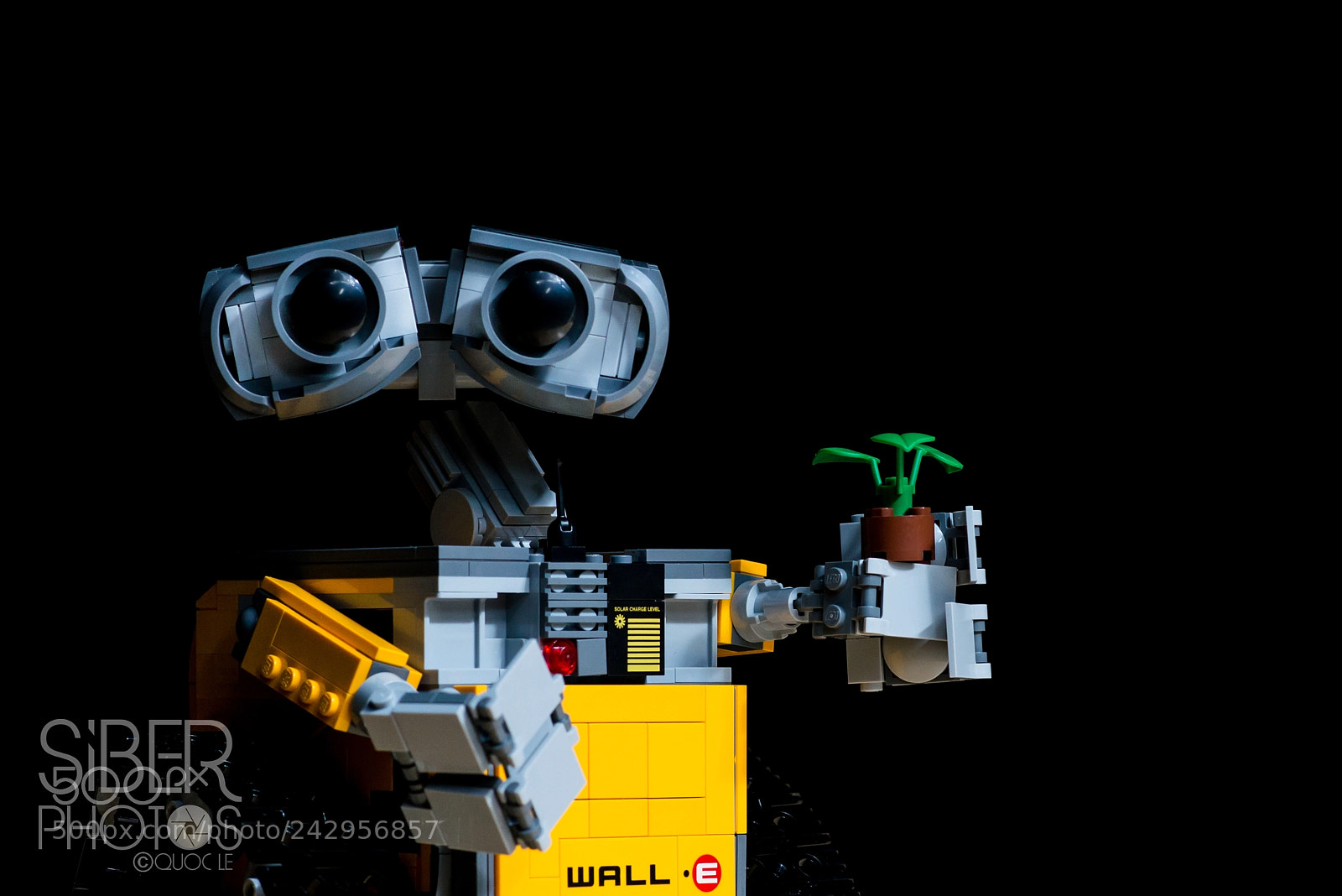 Nikon D600 sample photo. Walle! photography