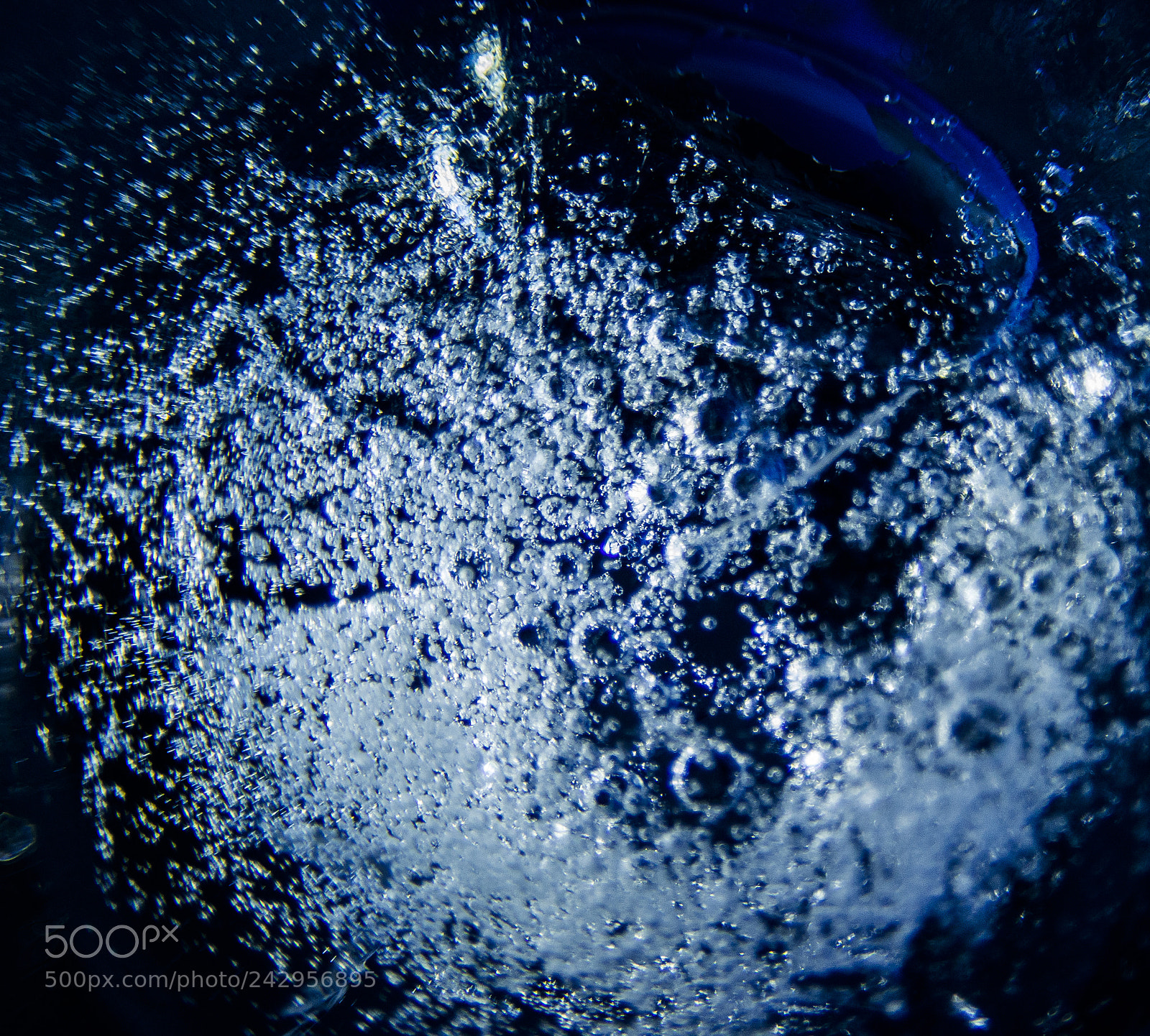 Nikon D800 sample photo. Frosty macro vol. 5 photography
