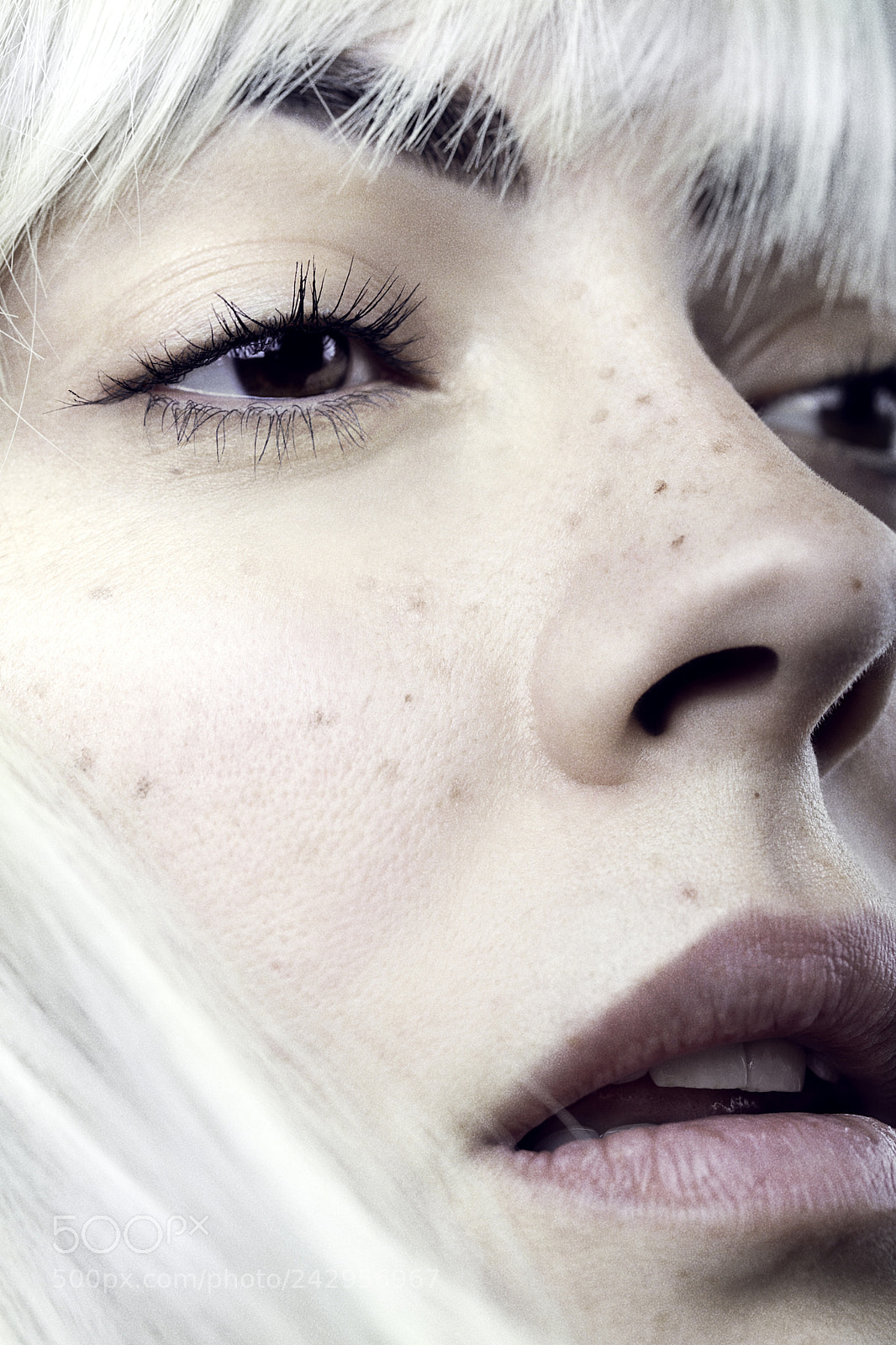 Canon EOS 5DS R sample photo. Ds186-isabella photography