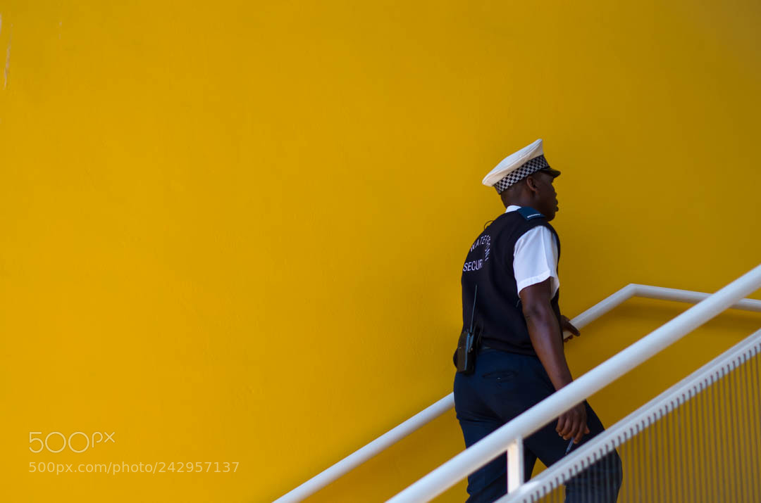Pentax K-5 II sample photo. The guard ascends on photography