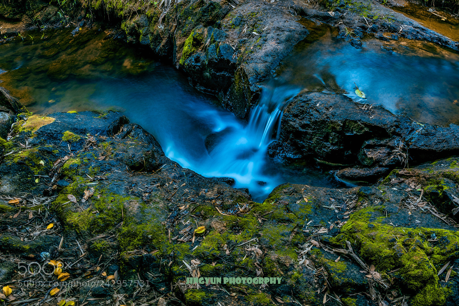 Nikon D810 sample photo. Untitled photography
