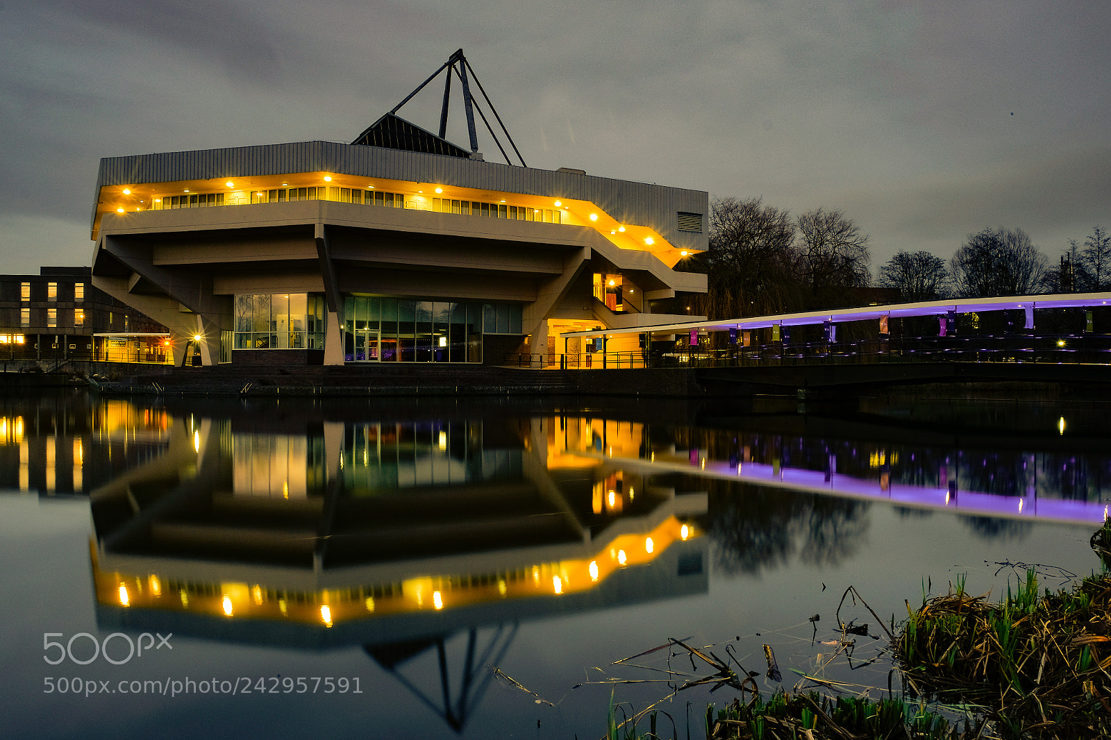 Fujifilm X-T10 sample photo. _dsf5074-2.jpg photography