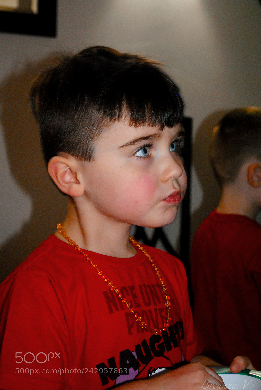 Nikon D3000 sample photo. My choice photography