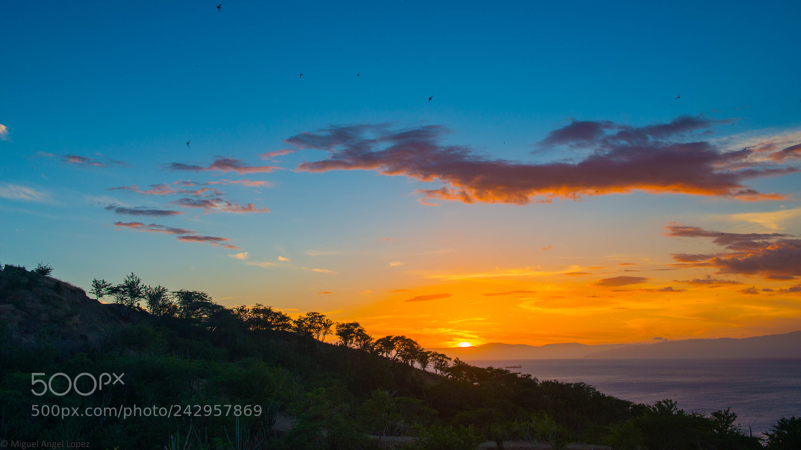 Nikon D800 sample photo. _atardecer ii photography